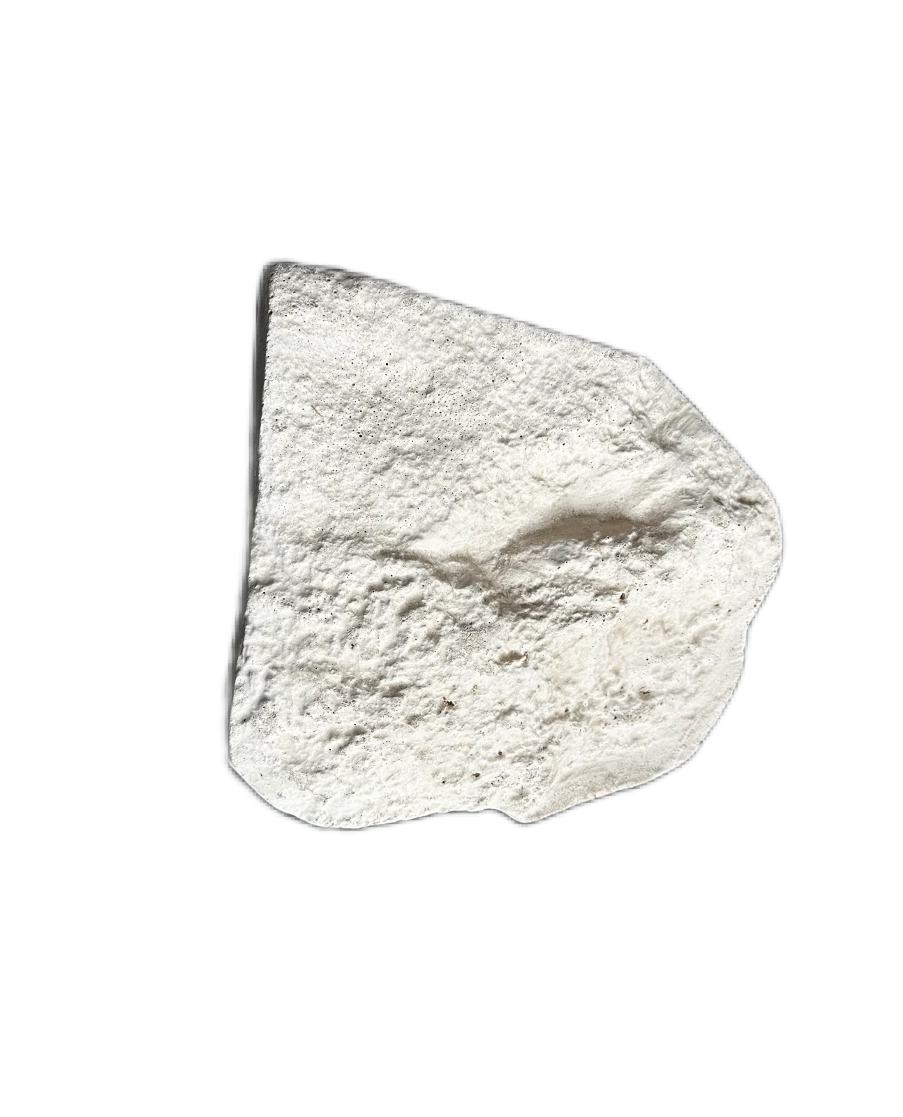 Pedra Moledo OFF WHITE Serrada